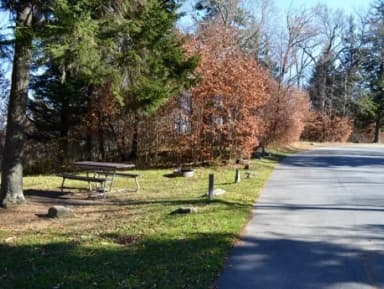 Balsam Mountain Campground Site 1 with tree, picnic table and roadside parking