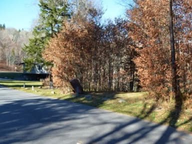 Balsam Mountain Campground Site 2