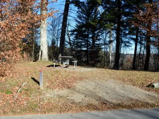 Balsam Mountain Campground Site 3