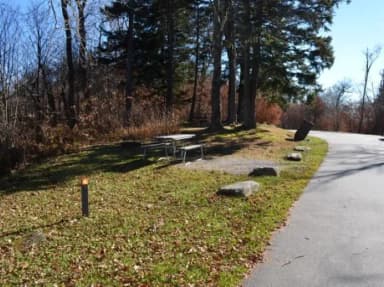 Balsam Mountain Campground Site 4