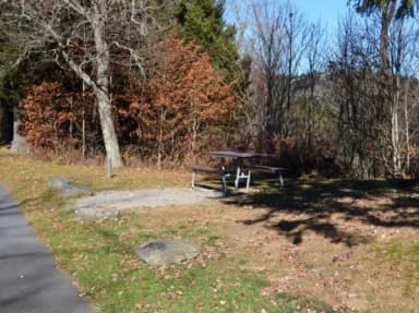 Site 4 Balsam Mountain Campground