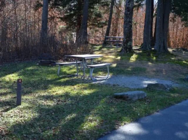 Balsam Mountain Campground Site 4