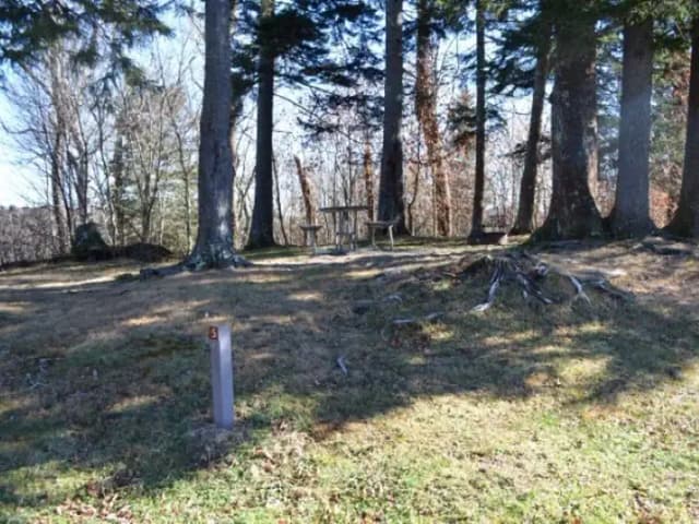 Balsam Mountain Campground  Site 5