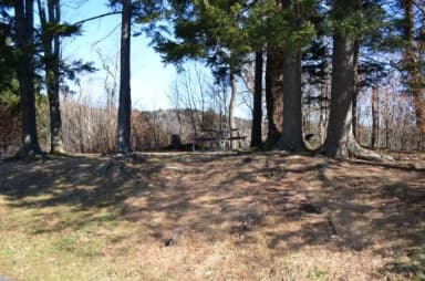 Balsam Mountain Campground  Site 5