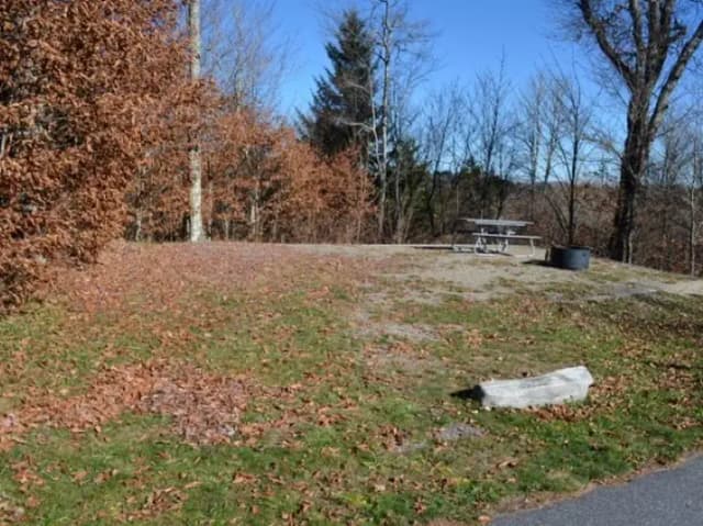 Balsam Mountain Campground  Site 6