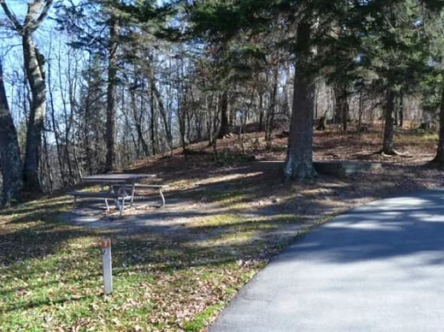 Balsam Mountain Campground Site 7