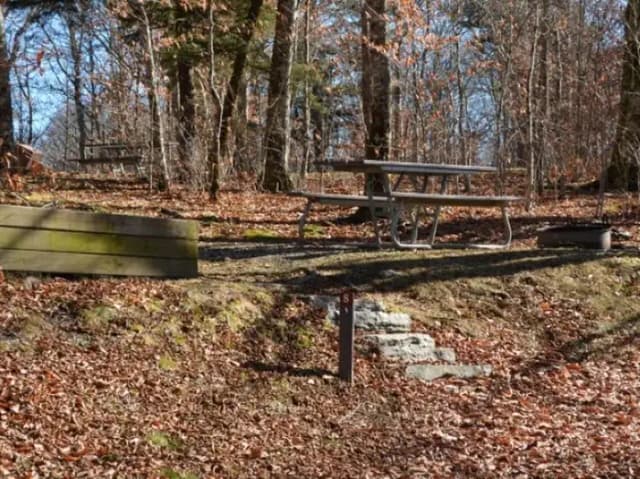 Balsam Mountain Campground Site 8