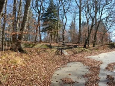 Balsam Mountain Campground Site 8