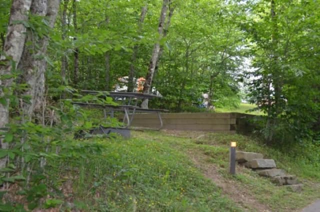 Balsam Mountain Campground Site 9