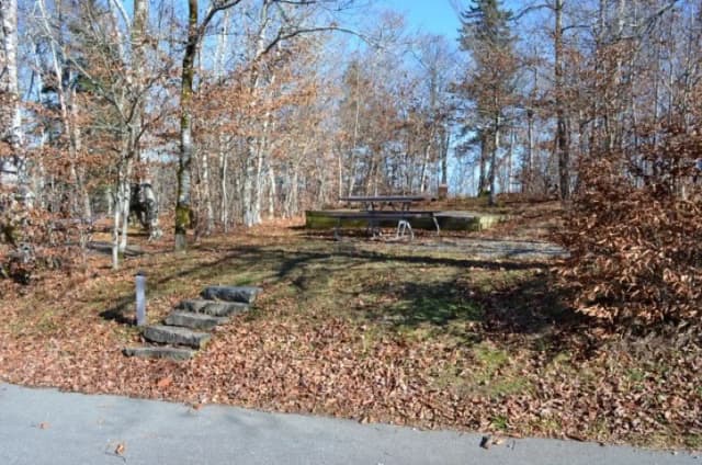 Balsam Mountain Campground Site 10