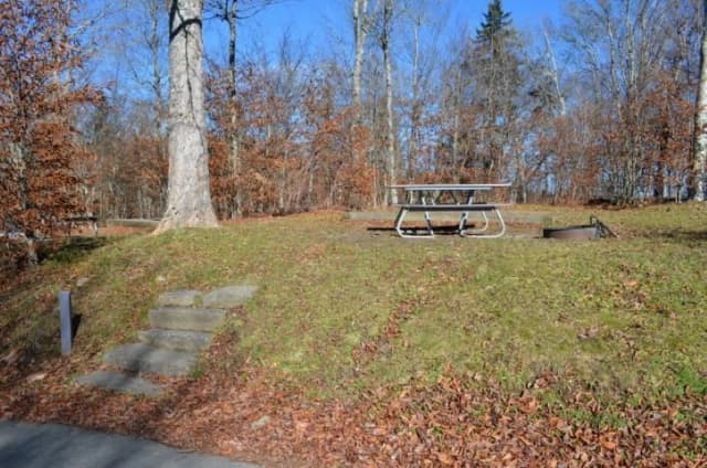 Balsam Mountain Campground Site 12