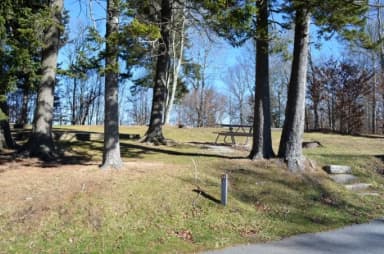 Site 14  Balsam Mountain Campground
