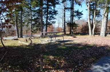 Campsite 16 showing picnic table and trees