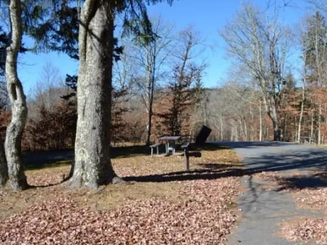 Balsam Mountain Campground Site 17