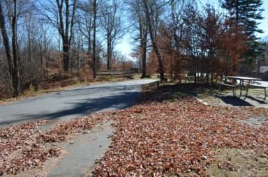Street View Site 17 Balsam Mountain Campground
