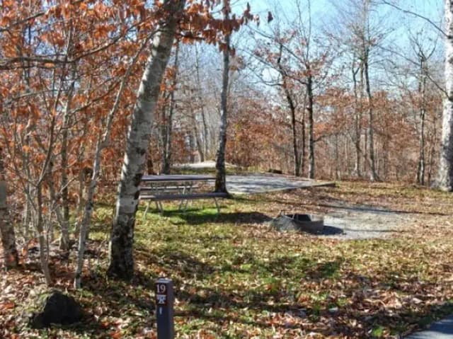 A photo of Site 19 of Loop BALSAM MOUNTAIN CAMPGROUND at BALSAM MOUNTAIN CAMPGROUND with Picnic Table, Fire Pit, Tent Pad