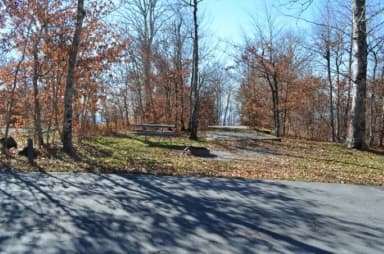 A photo of Site 19 of Loop BALSAM MOUNTAIN CAMPGROUND at BALSAM MOUNTAIN CAMPGROUND with Picnic Table, Fire Pit, Tent Pad