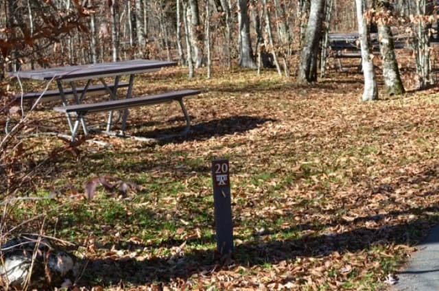 A photo of Site 20 of Loop BALSAM MOUNTAIN CAMPGROUND at BALSAM MOUNTAIN CAMPGROUND with Picnic Table, Fire Pit, Tent Pad