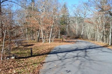 A photo of Site 20 of Loop BALSAM MOUNTAIN CAMPGROUND at BALSAM MOUNTAIN CAMPGROUND with Picnic Table, Fire Pit, Tent Pad