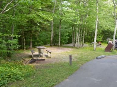 A photo of Site 21 of Loop BALSAM MOUNTAIN CAMPGROUND at BALSAM MOUNTAIN CAMPGROUND with Picnic Table, Fire Pit, Tent Pad