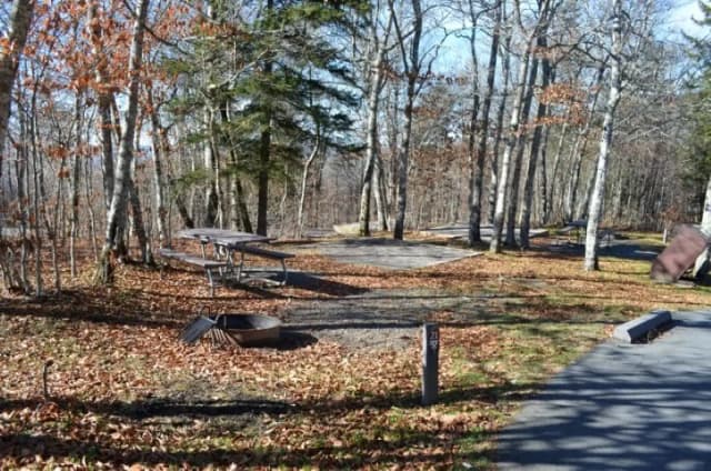 A photo of Site 21 of Loop BALSAM MOUNTAIN CAMPGROUND at BALSAM MOUNTAIN CAMPGROUND with Picnic Table, Fire Pit, Tent Pad