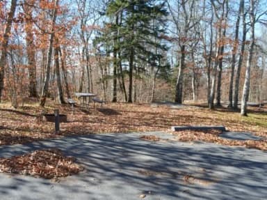 A photo of Site 21 of Loop BALSAM MOUNTAIN CAMPGROUND at BALSAM MOUNTAIN CAMPGROUND with Picnic Table, Fire Pit, Tent Pad