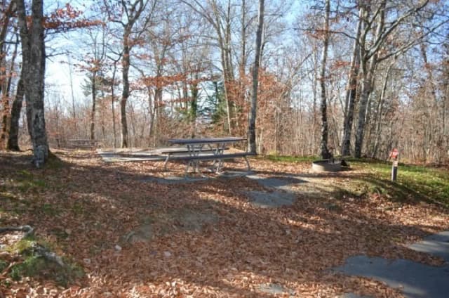 A photo of Site 22 of Loop BALSAM MOUNTAIN CAMPGROUND at BALSAM MOUNTAIN CAMPGROUND with Picnic Table, Fire Pit, Tent Pad