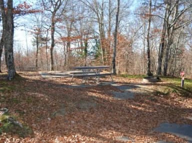 A photo of Site 22 of Loop BALSAM MOUNTAIN CAMPGROUND at BALSAM MOUNTAIN CAMPGROUND with Picnic Table, Fire Pit, Tent Pad