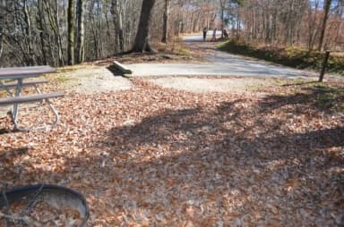 A photo of Site 23 of Loop BALSAM MOUNTAIN CAMPGROUND at BALSAM MOUNTAIN CAMPGROUND with Picnic Table, Fire Pit, Tent Pad