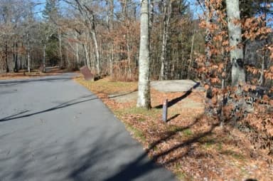 A photo of Site 24 of Loop BALSAM MOUNTAIN CAMPGROUND at BALSAM MOUNTAIN CAMPGROUND with Picnic Table, Fire Pit, Tent Pad
