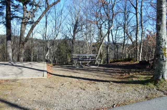 A photo of Site 24 of Loop BALSAM MOUNTAIN CAMPGROUND at BALSAM MOUNTAIN CAMPGROUND with Picnic Table, Fire Pit, Tent Pad