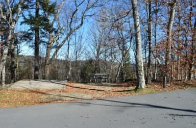 A photo of Site 24 of Loop BALSAM MOUNTAIN CAMPGROUND at BALSAM MOUNTAIN CAMPGROUND with Picnic Table, Fire Pit, Tent Pad