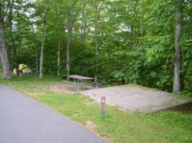 A photo of Site 25 of Loop BALSAM MOUNTAIN CAMPGROUND at BALSAM MOUNTAIN CAMPGROUND with Picnic Table, Fire Pit, Tent Pad