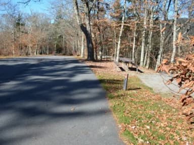 A photo of Site 25 of Loop BALSAM MOUNTAIN CAMPGROUND at BALSAM MOUNTAIN CAMPGROUND with Picnic Table, Fire Pit, Tent Pad