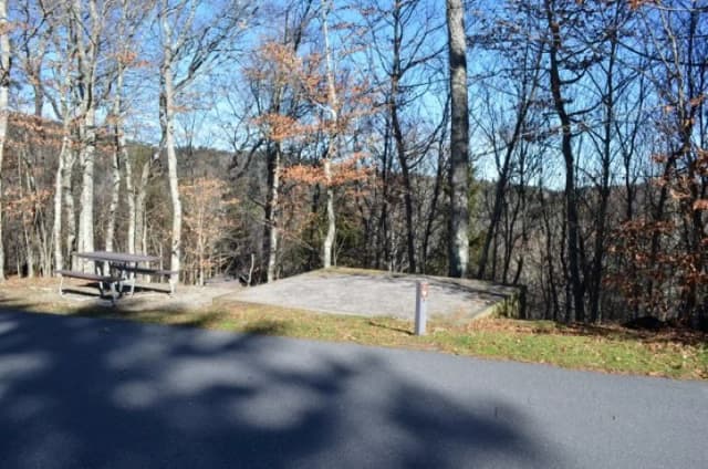 A photo of Site 25 of Loop BALSAM MOUNTAIN CAMPGROUND at BALSAM MOUNTAIN CAMPGROUND with Picnic Table, Fire Pit, Tent Pad