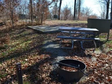 A photo of Site 26 of Loop BALSAM MOUNTAIN CAMPGROUND at BALSAM MOUNTAIN CAMPGROUND with Picnic Table, Fire Pit, Tent Pad