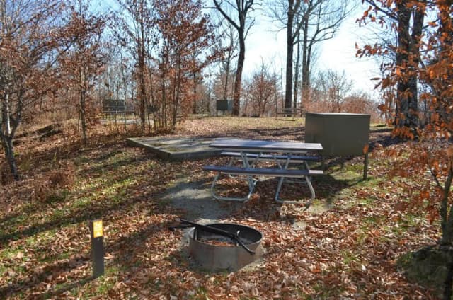 A photo of Site 26 of Loop BALSAM MOUNTAIN CAMPGROUND at BALSAM MOUNTAIN CAMPGROUND with Picnic Table, Fire Pit, Tent Pad