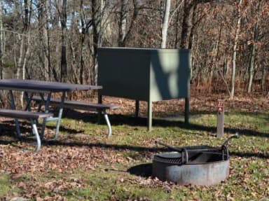 A photo of Site 27 of Loop BALSAM MOUNTAIN CAMPGROUND at BALSAM MOUNTAIN CAMPGROUND with Picnic Table, Fire Pit, Tent Pad