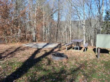 A photo of Site 27 of Loop BALSAM MOUNTAIN CAMPGROUND at BALSAM MOUNTAIN CAMPGROUND with Picnic Table, Fire Pit, Tent Pad