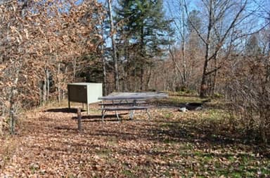 A photo of Site 28 of Loop BALSAM MOUNTAIN CAMPGROUND at BALSAM MOUNTAIN CAMPGROUND with Picnic Table, Fire Pit, Food Storage, Tent Pad