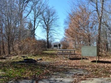 A photo of Site 28 of Loop BALSAM MOUNTAIN CAMPGROUND at BALSAM MOUNTAIN CAMPGROUND with Picnic Table, Fire Pit, Food Storage, Tent Pad