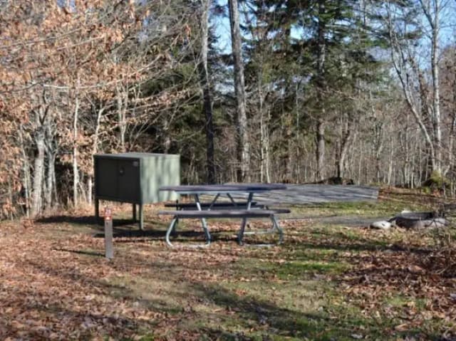 A photo of Site 28 of Loop BALSAM MOUNTAIN CAMPGROUND at BALSAM MOUNTAIN CAMPGROUND with Picnic Table, Fire Pit, Tent Pad