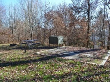 A photo of Site 29 of Loop BALSAM MOUNTAIN CAMPGROUND at BALSAM MOUNTAIN CAMPGROUND with Picnic Table, Fire Pit, Food Storage, Tent Pad