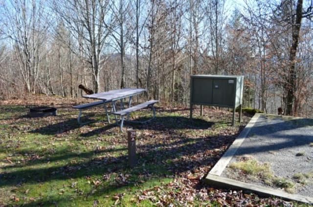 A photo of Site 29 of Loop BALSAM MOUNTAIN CAMPGROUND at BALSAM MOUNTAIN CAMPGROUND with Picnic Table, Fire Pit, Food Storage, Tent Pad
