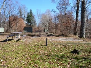 A photo of Site 30 of Loop BALSAM MOUNTAIN CAMPGROUND at BALSAM MOUNTAIN CAMPGROUND with Picnic Table, Fire Pit, Food Storage, Tent Pad