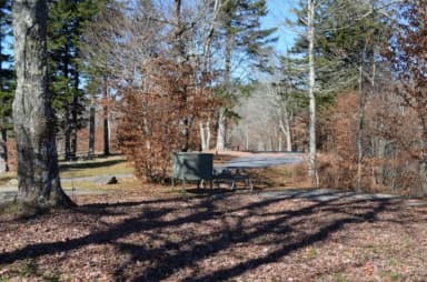 A photo of Site 30 of Loop BALSAM MOUNTAIN CAMPGROUND at BALSAM MOUNTAIN CAMPGROUND with Picnic Table, Fire Pit, Food Storage, Tent Pad