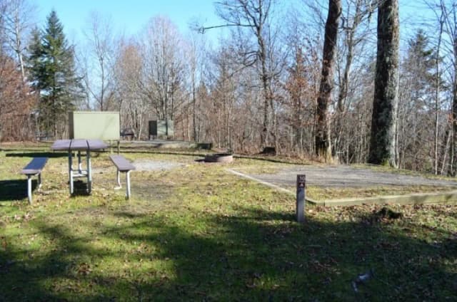 A photo of Site 30 of Loop BALSAM MOUNTAIN CAMPGROUND at BALSAM MOUNTAIN CAMPGROUND with Picnic Table, Fire Pit, Food Storage, Tent Pad
