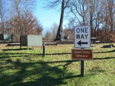 A photo of Site 31 of Loop BALSAM MOUNTAIN CAMPGROUND at BALSAM MOUNTAIN CAMPGROUND with Picnic Table, Fire Pit, Food Storage, Tent Pad
