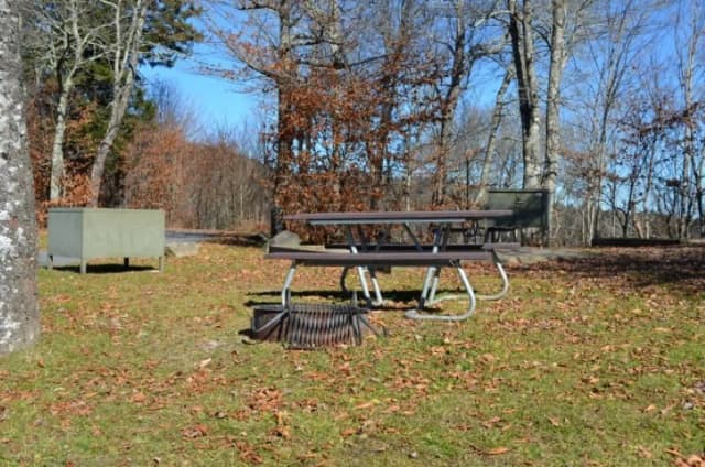A photo of Site 31 of Loop BALSAM MOUNTAIN CAMPGROUND at BALSAM MOUNTAIN CAMPGROUND with Picnic Table, Fire Pit, Food Storage
