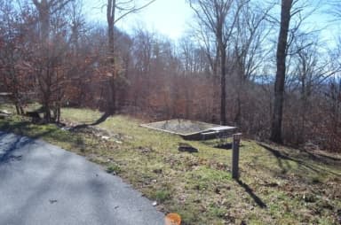 A photo of Site 33 of Loop BALSAM MOUNTAIN CAMPGROUND at BALSAM MOUNTAIN CAMPGROUND with Picnic Table, Fire Pit, Tent Pad